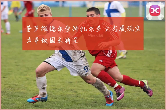 普罗维德尔崇拜托尔多立志展现实力争做国米新星