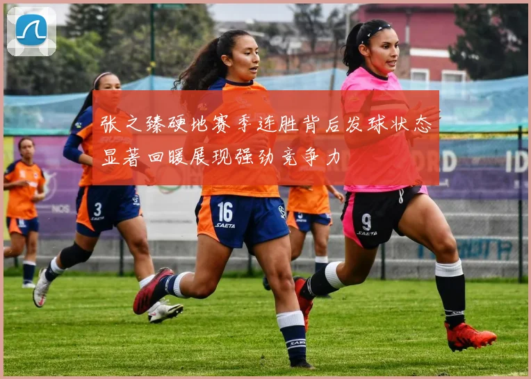 张之臻硬地赛季连胜背后发球状态显著回暖展现强劲竞争力
